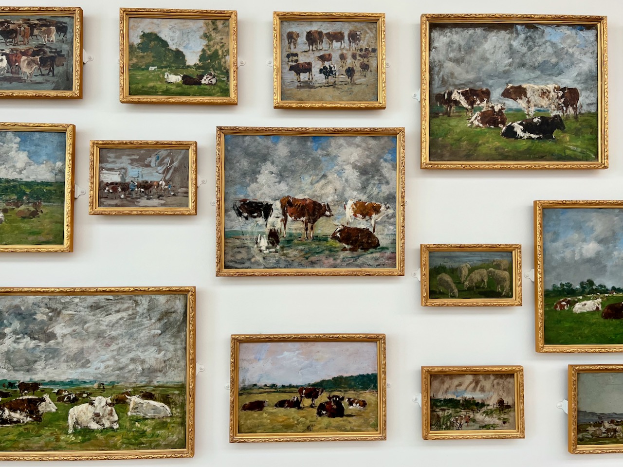 Plusieurs tableaux de vaches sur un mur, peints par Eugène Boudin